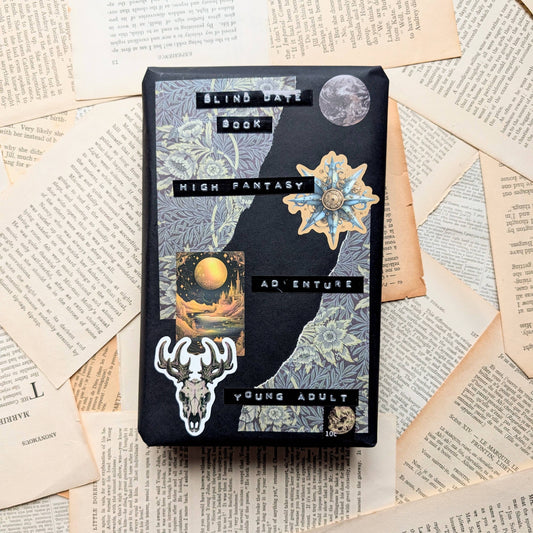 Blind Date Book- High fantasy vibes YA